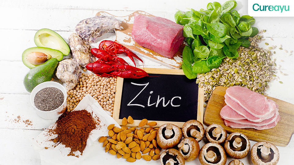 zinc rich foods
