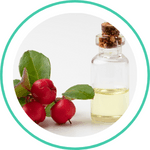 Wintergreen oil — Ayurvedic herb