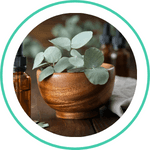 Nilgiri tail — Ayurvedic herb