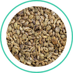 Khurasani Ajwain — Ayurvedic herb