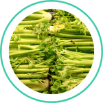 Ajmod — Ayurvedic herb