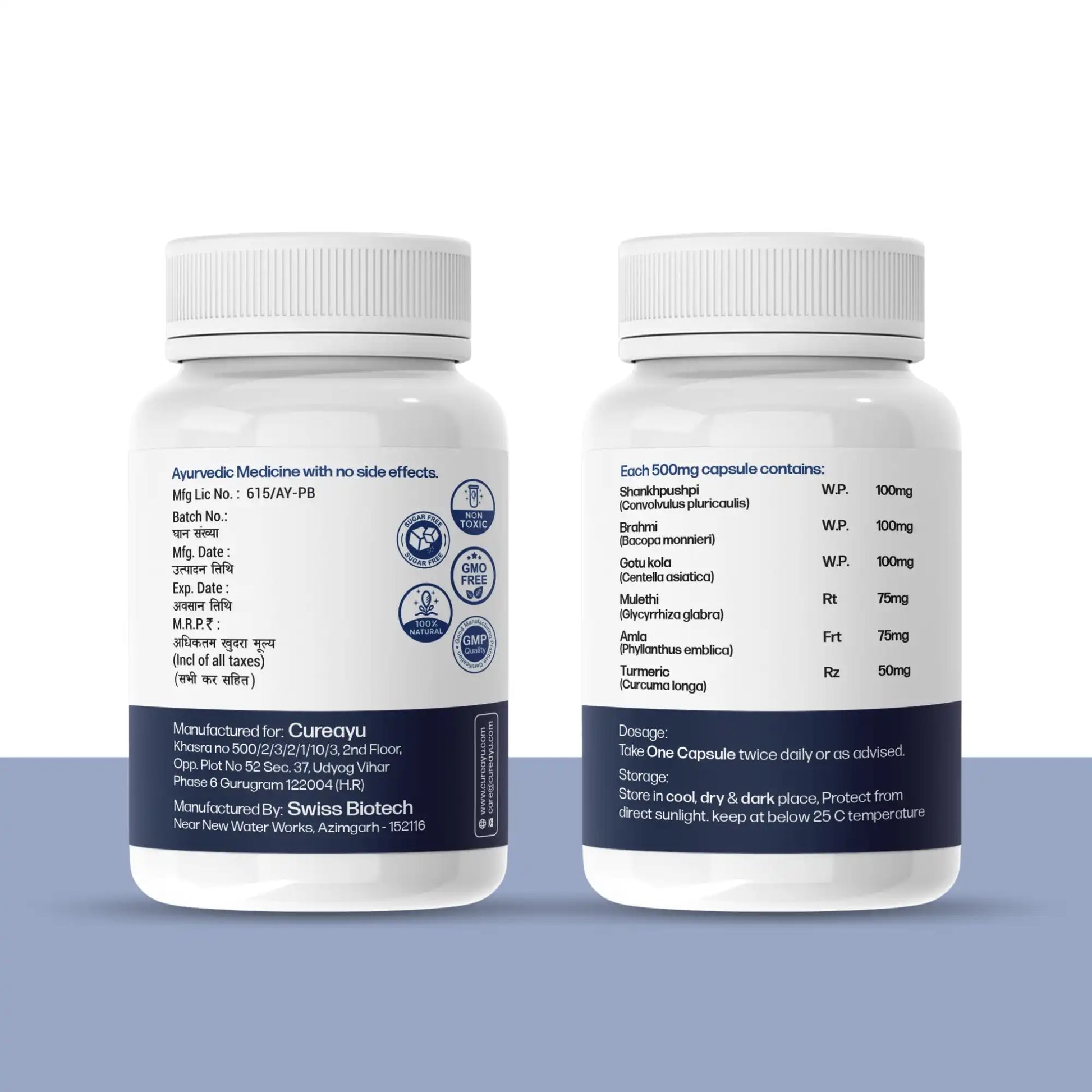 brain and memory supplements