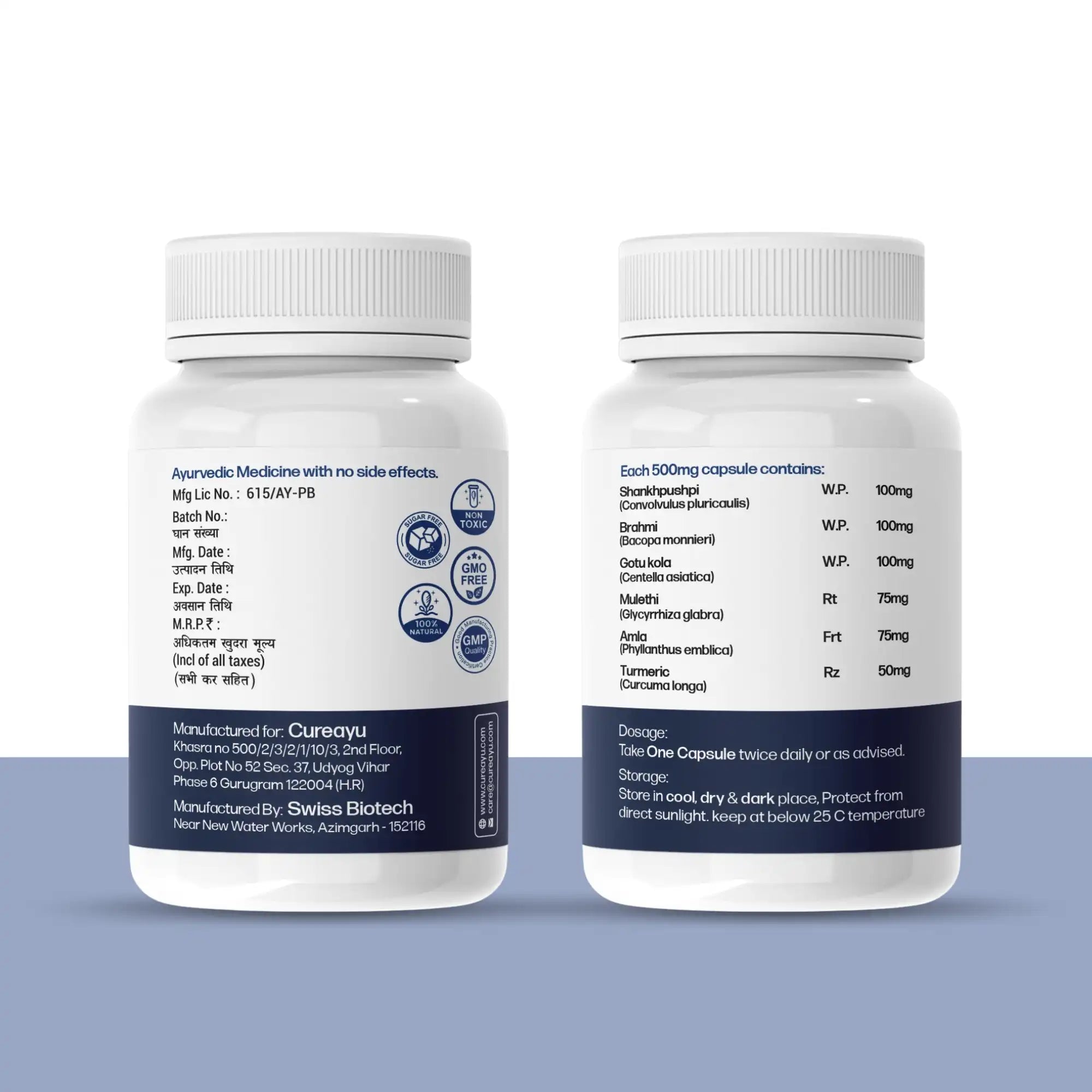 brain and memory supplements