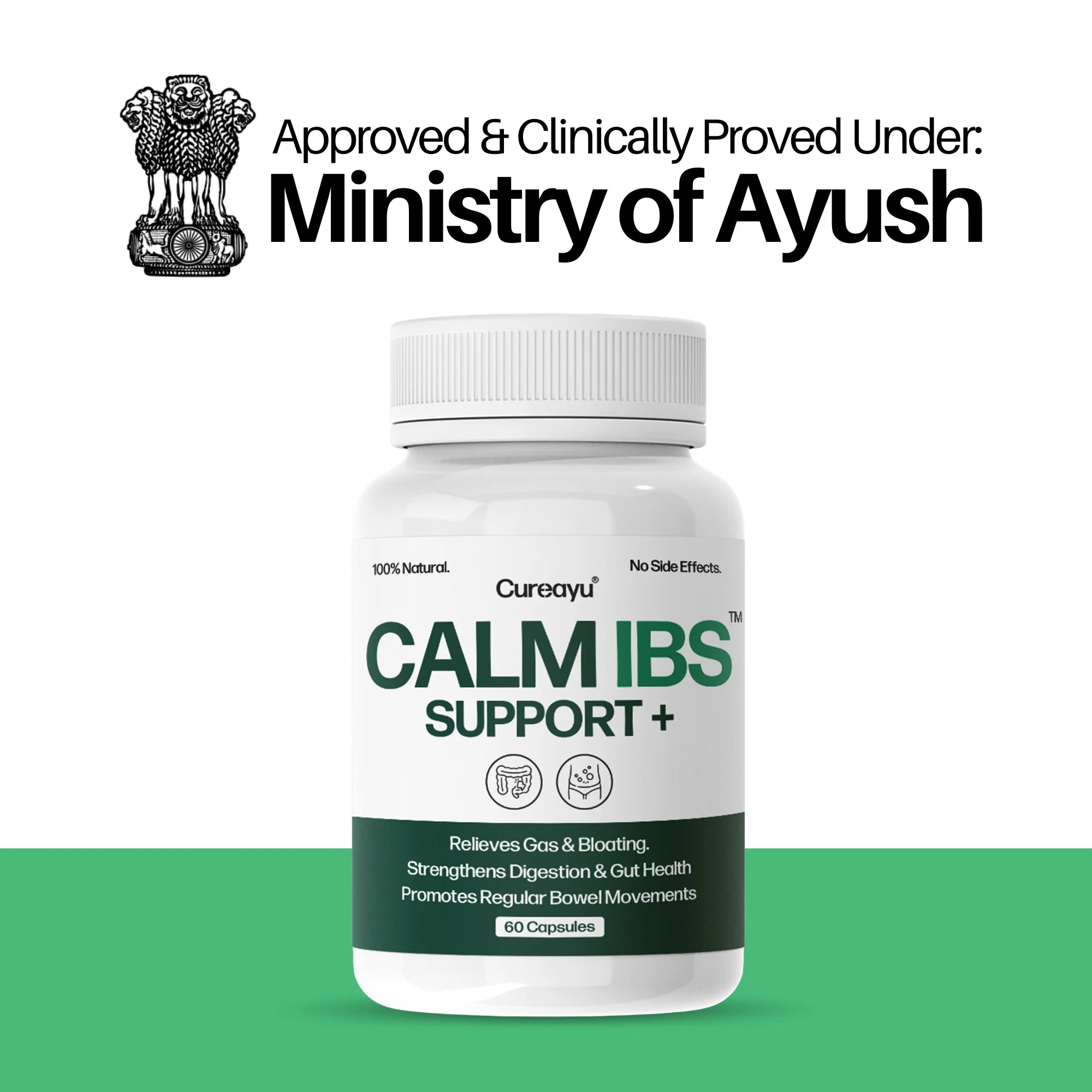 Calm IBS Support Capsules | Ayurvedic IBS & Gut Health Support | For Digestive Balance & Intestinal Comfort