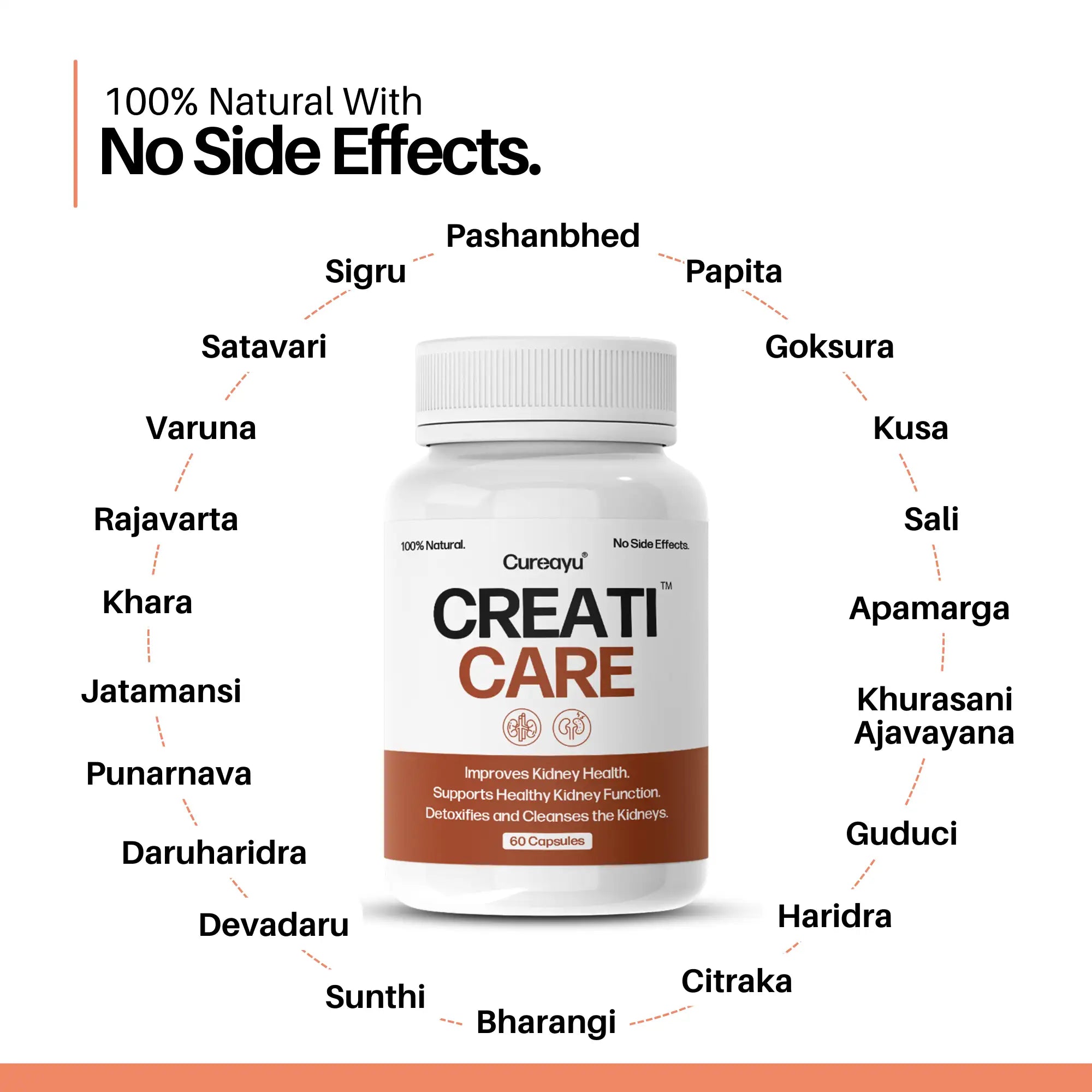 CreatiCare™ | Creatinine Capsules | For Healthy Creatinine Levels, Kidney Support & Detox