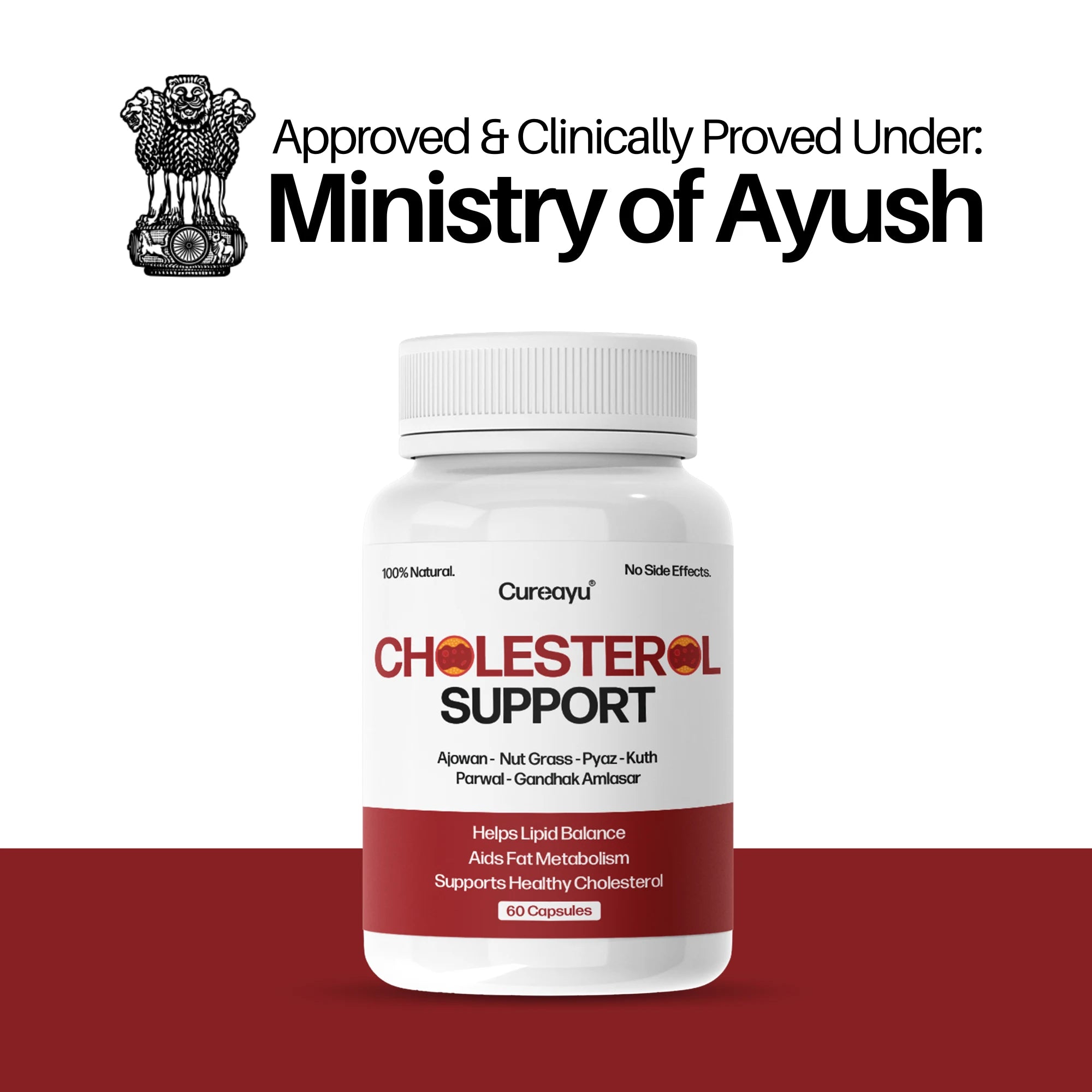 Cholesterol Support Capsules | Ayurvedic Lipid & Heart Health Support | For Healthy Cholesterol Levels & Fat Metabolism