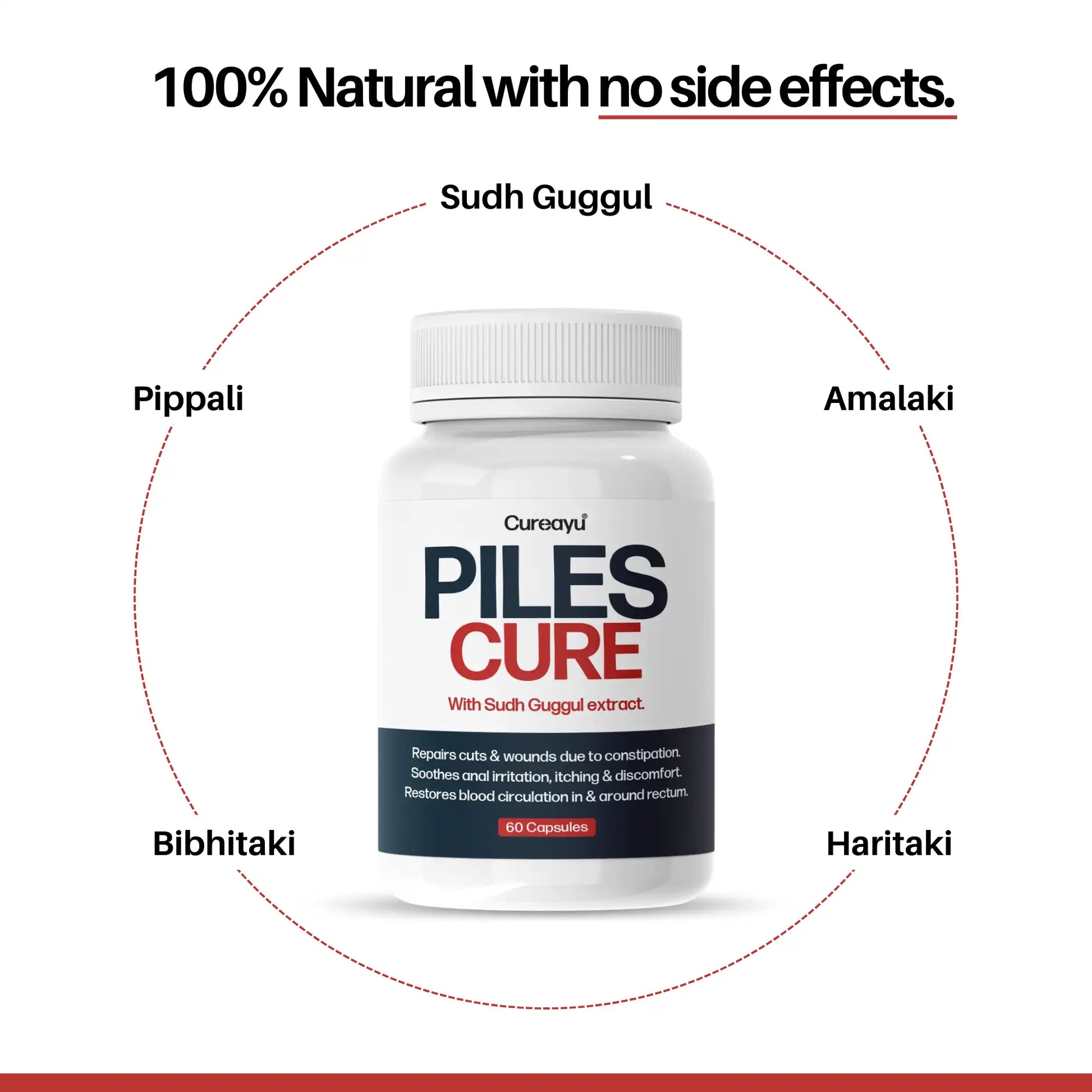 ayurvedic medicine for piles