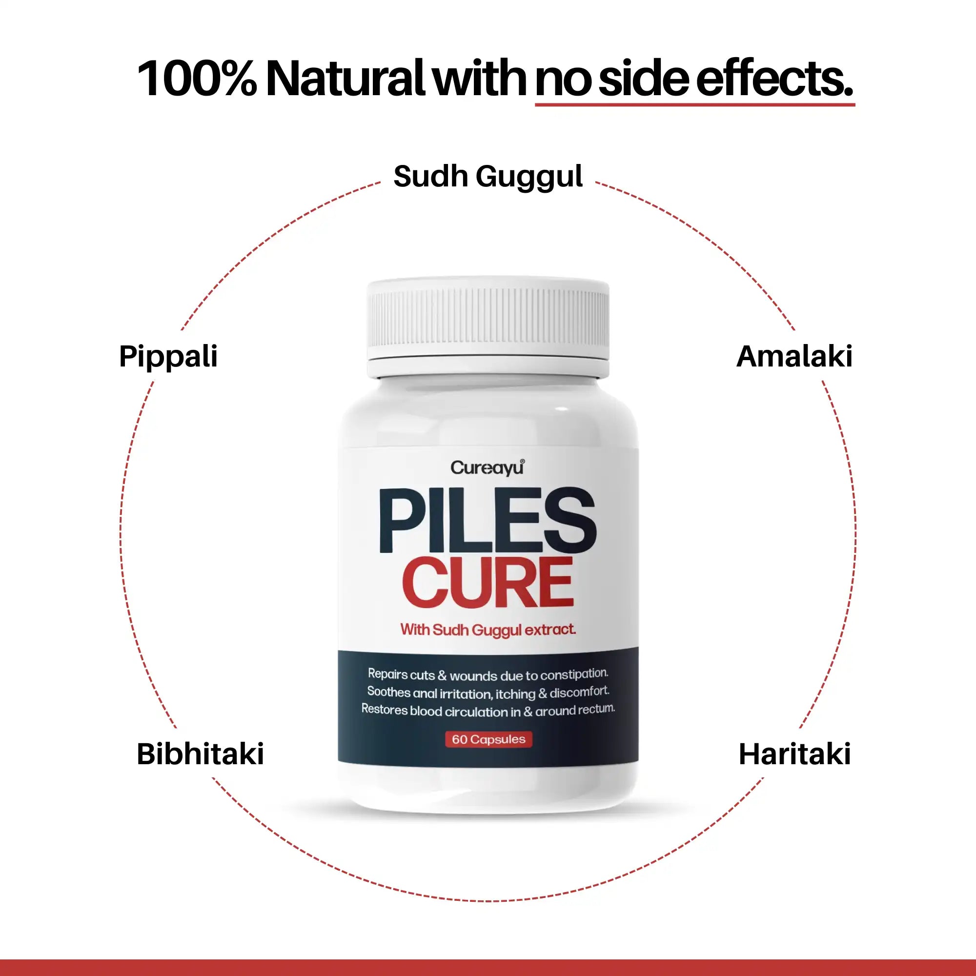 ayurvedic medicine for piles