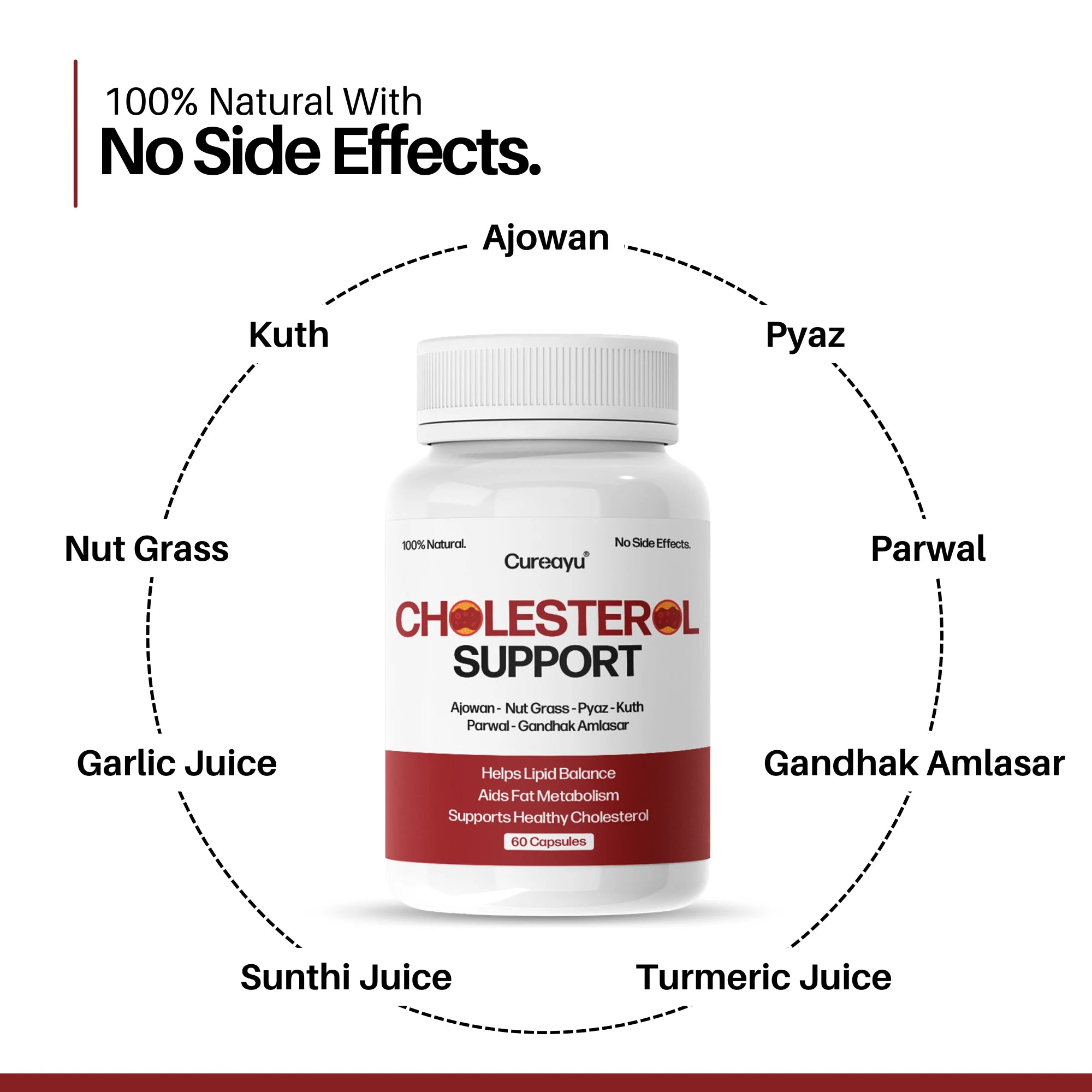 Cholesterol Support Capsules | Ayurvedic Lipid & Heart Health Support | For Healthy Cholesterol Levels & Fat Metabolism