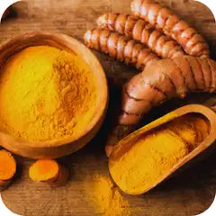 Turmeric — Ayurvedic herb