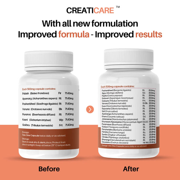 CreatiCare™ | Creatinine Capsules | For Healthy Creatinine Levels, Kidney Support & Detox