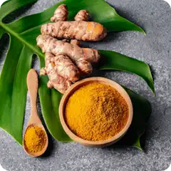 Turmeric — Ayurvedic herb