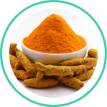 Turmeric — Ayurvedic herb