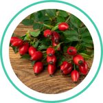 Rosehip Extract — Ayurvedic herb
