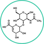 Chondroitin Sulphate — Ayurvedic herb