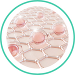 Collagen Peptide Type II — Ayurvedic herb