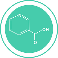 Niacin — Ayurvedic herb