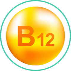 Vitamin B12 (as cyanocobalamin) — Ayurvedic herb