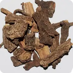 Lodhra — Ayurvedic herb