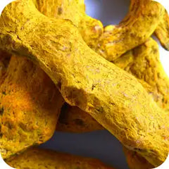 Haridra — Ayurvedic herb