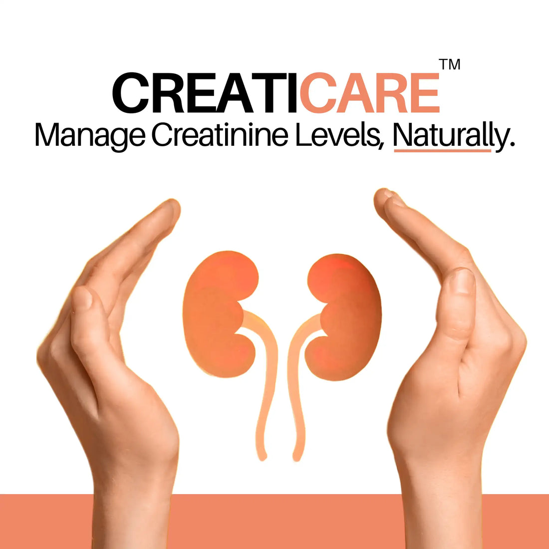 Creatinine Capsules | For Healthy Creatinine Levels, Kidney Support & Detox | CreatiCare™