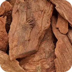 Arjuna — Ayurvedic herb