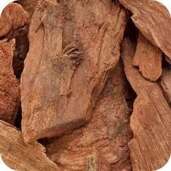 Arjuna — Ayurvedic herb