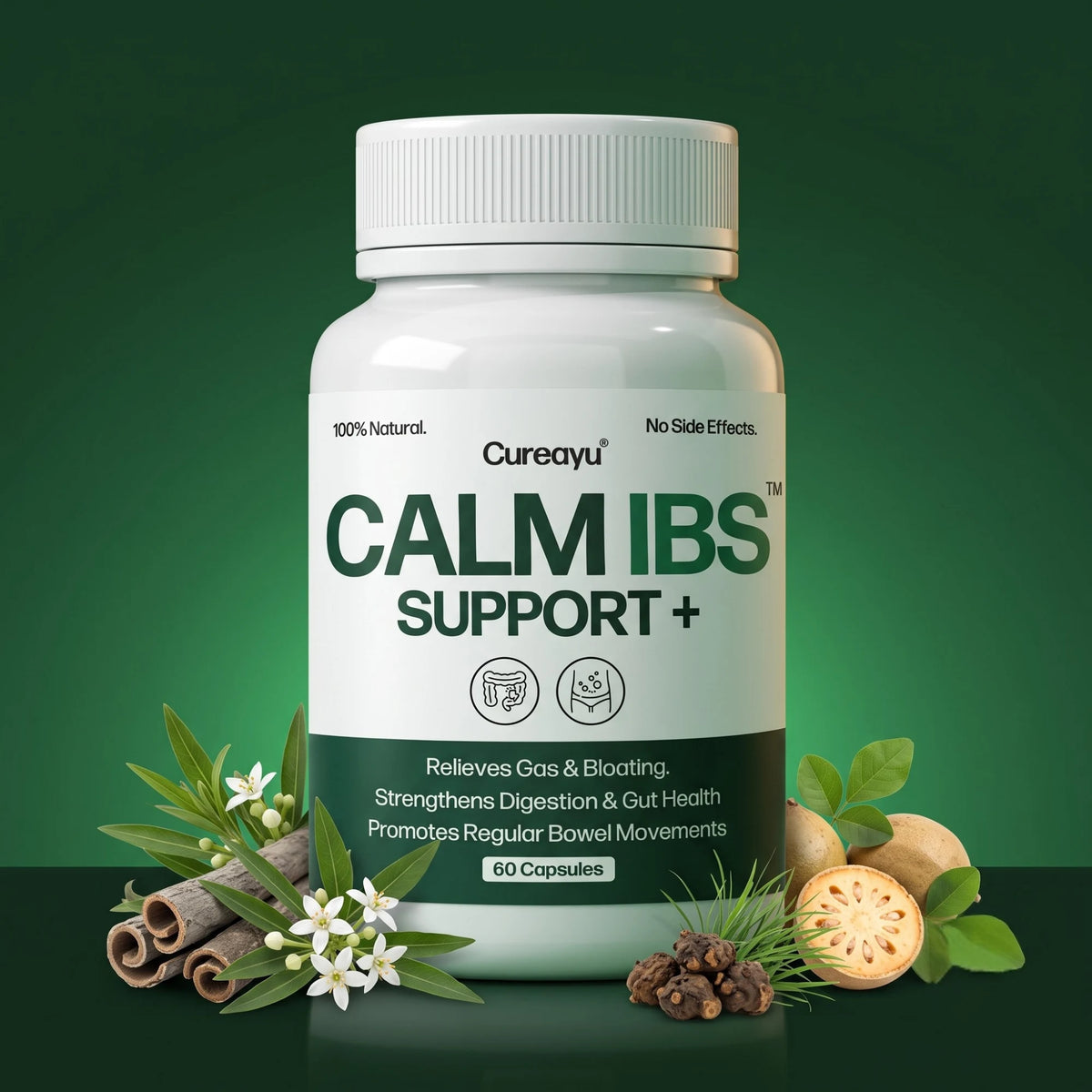 Calm IBS Support™ Capsules | Ayurvedic IBS & Gut Health Support | For Digestive Balance & Intestinal Comfort