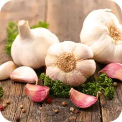 Garlic — Ayurvedic herb