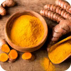 Turmeric — Ayurvedic herb