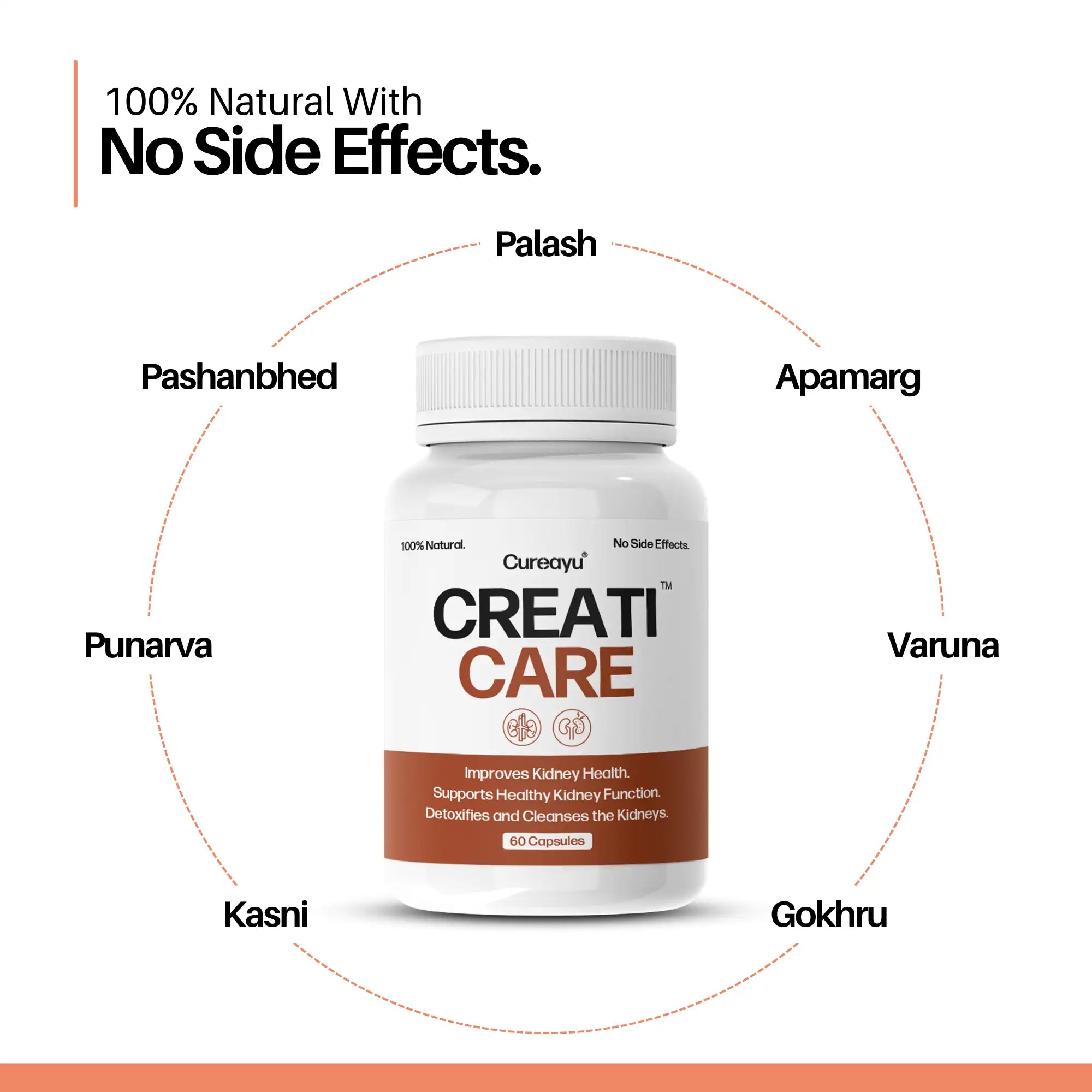 Creatinine Capsules | For Healthy Creatinine Levels, Kidney Support & Detox | CreatiCare™