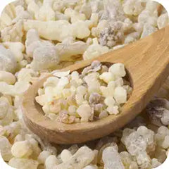 Shallaki — Ayurvedic herb