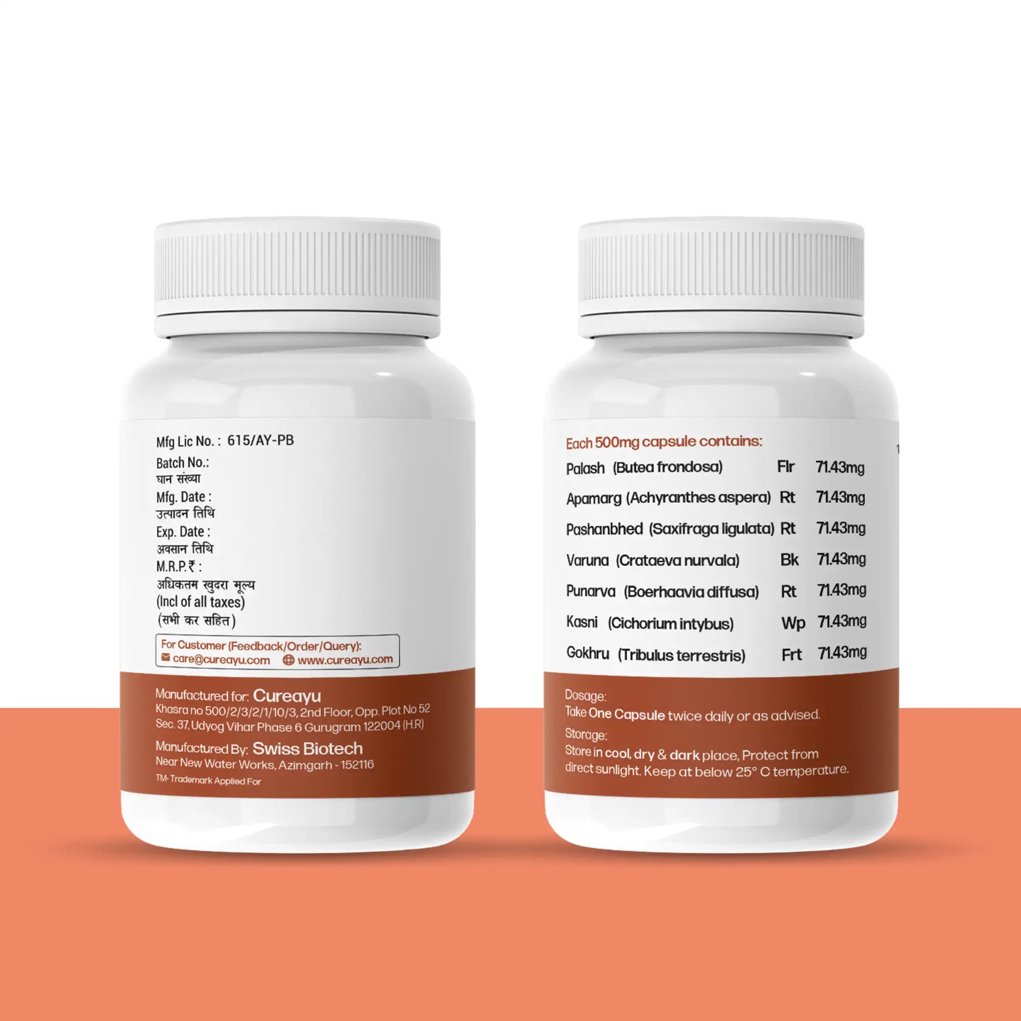 Creatinine Capsules | For Healthy Creatinine Levels, Kidney Support & Detox | CreatiCare™