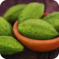 Haritaki — Ayurvedic herb