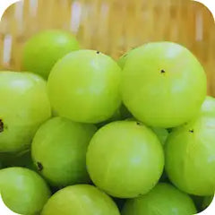 Amalaki — Ayurvedic herb