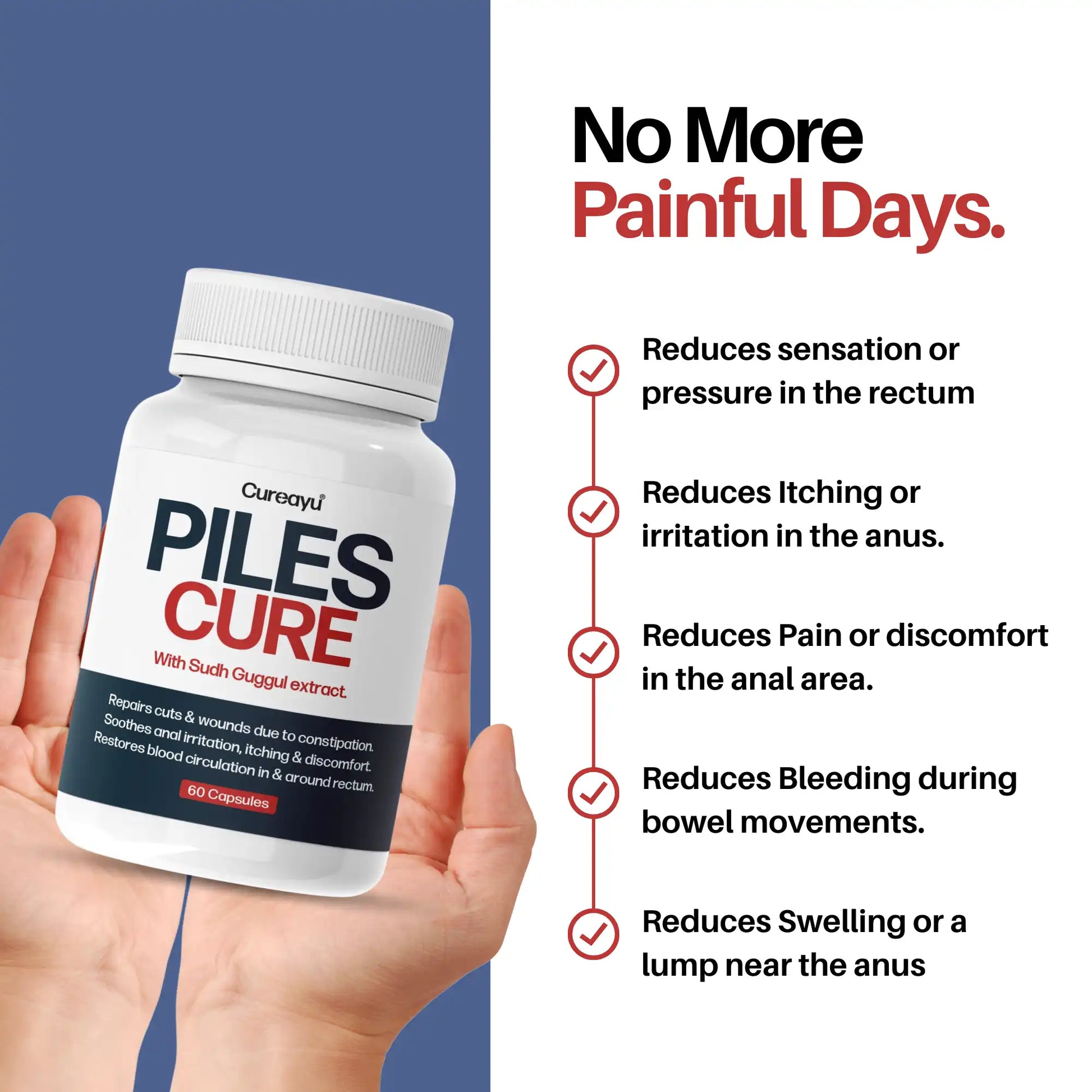 piles ayurvedic capsule