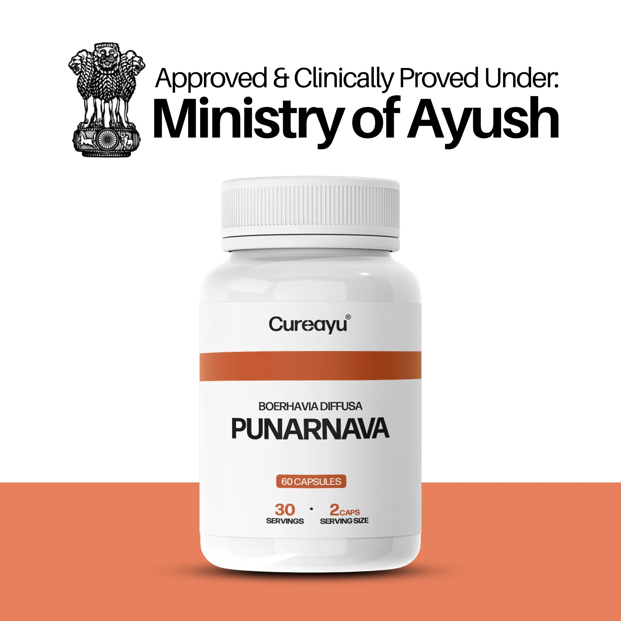 Punarnava Capsules | Ayurvedic Support for Kidney Health, Detox & Fluid Balance