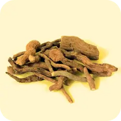 Choti Chandan — Ayurvedic herb