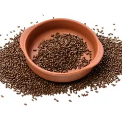 Chakramarda — Ayurvedic herb