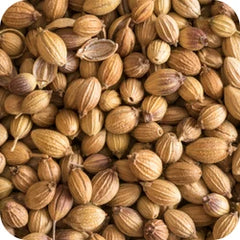 Dhania — Ayurvedic herb
