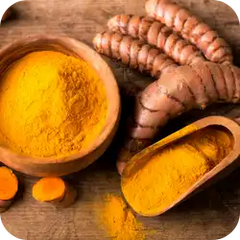 Haridra (Turmeric) — Ayurvedic herb