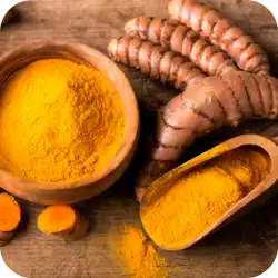 Turmeric — Ayurvedic herb