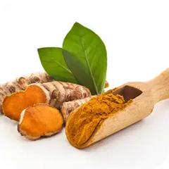 Haridra — Ayurvedic herb