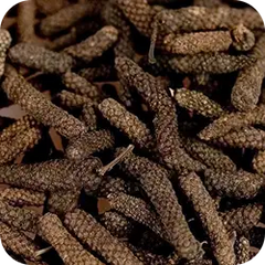 Pipal Kalan — Ayurvedic herb