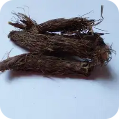 Jatamansi — Ayurvedic herb