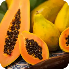 Papita (Papaya) — Ayurvedic herb