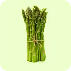 Shatavari — Ayurvedic herb