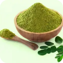Sigru (Moringa) — Ayurvedic herb