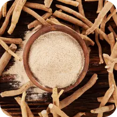 Ashwagandha — Ayurvedic herb