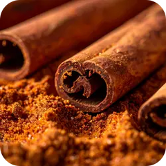 Cinnamon — Ayurvedic herb